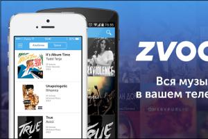 Review of the “ZVOOG” subscription from Beeline zvooq application on body 2